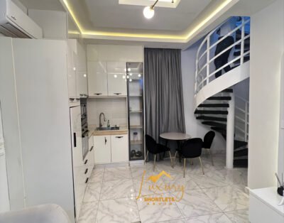 1 bedroom loft with swimming pool located in Asokoro