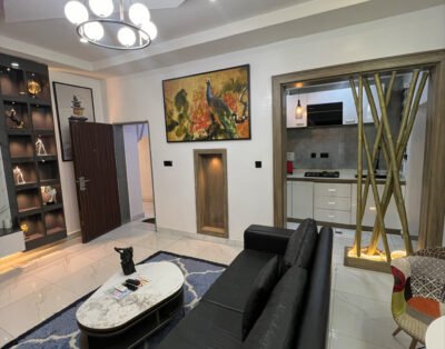 Highly secured and beautifully furnished 1 bedroom short- stay/let apartment located in Jahi