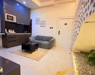 Brand new classic 1 bedroom apartment in a serene compound in Jahi