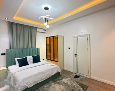 Very cozy, affordable and beautiful 1 bedroom apartment located in Maitama