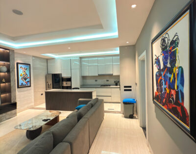 Artsy,massive and designed to taste 1 bedroom Shortlet Apartment .