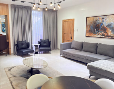 Fresh and spacious 1 bedroom shortlet apartment in Wuse 2