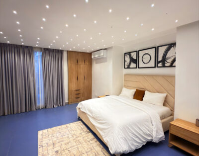 Classic and spacious studio shortlet apartment in Wuse 2