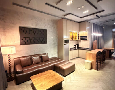 1 Bed Shortlet Asokoro · Rainfall Shower